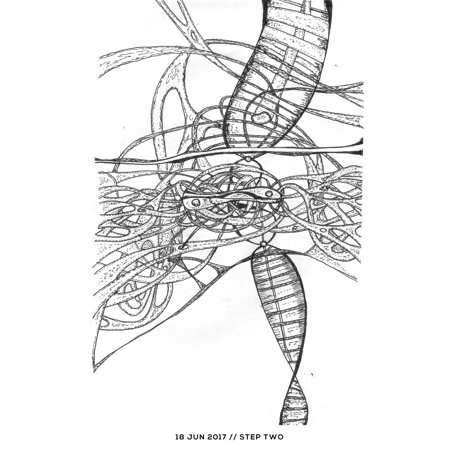 Ink drawing — step two, 18 June 2017