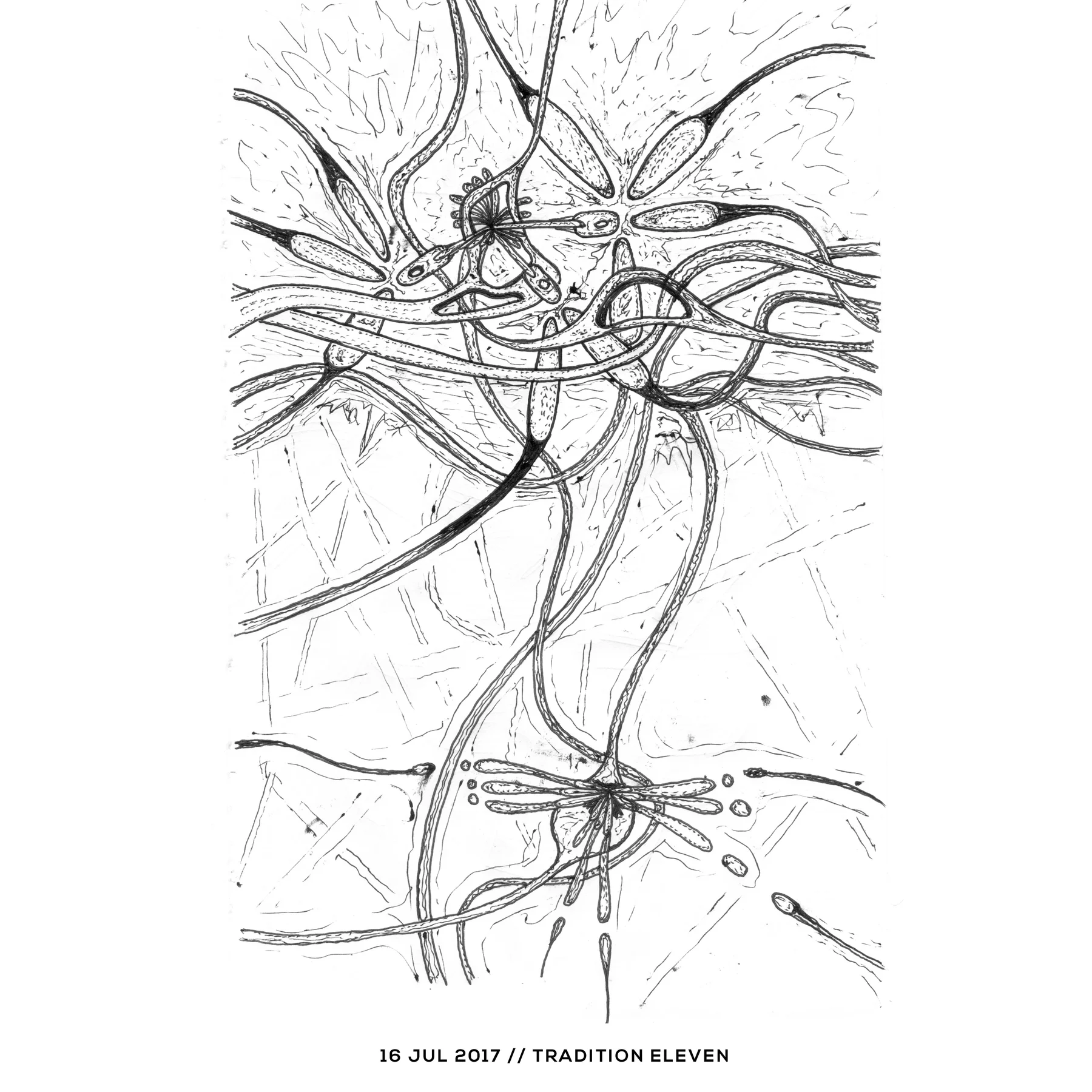 Ink drawing — tradition eleven, 16 July 2017
