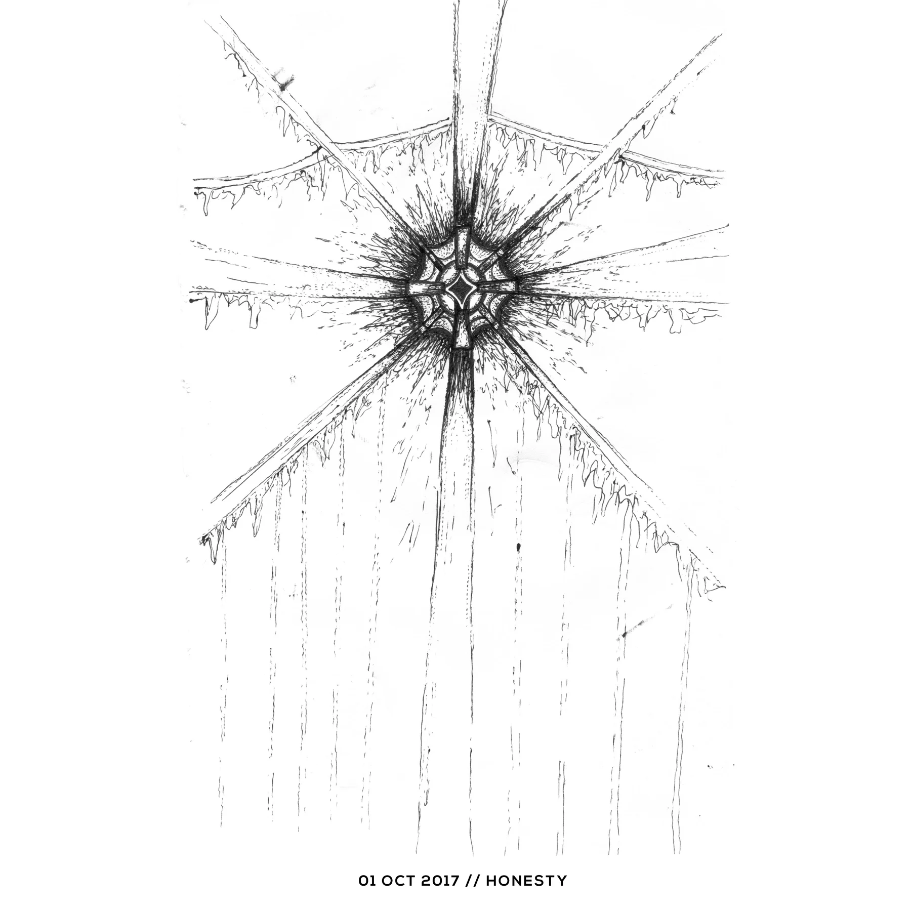 Ink drawing — honesty, 1 October 2017