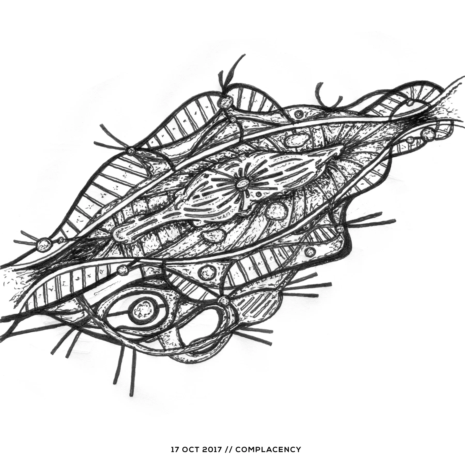 Ink drawing — complacency, 17 October 2017