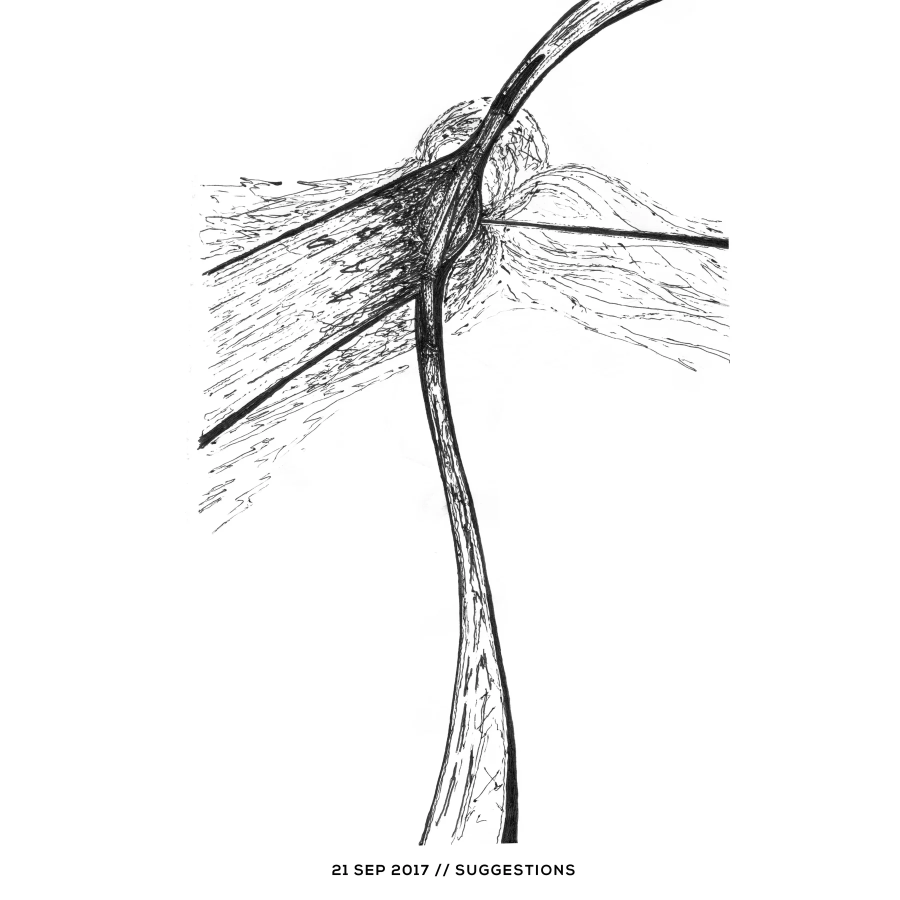 Ink drawing — suggestions, 21 September 2017