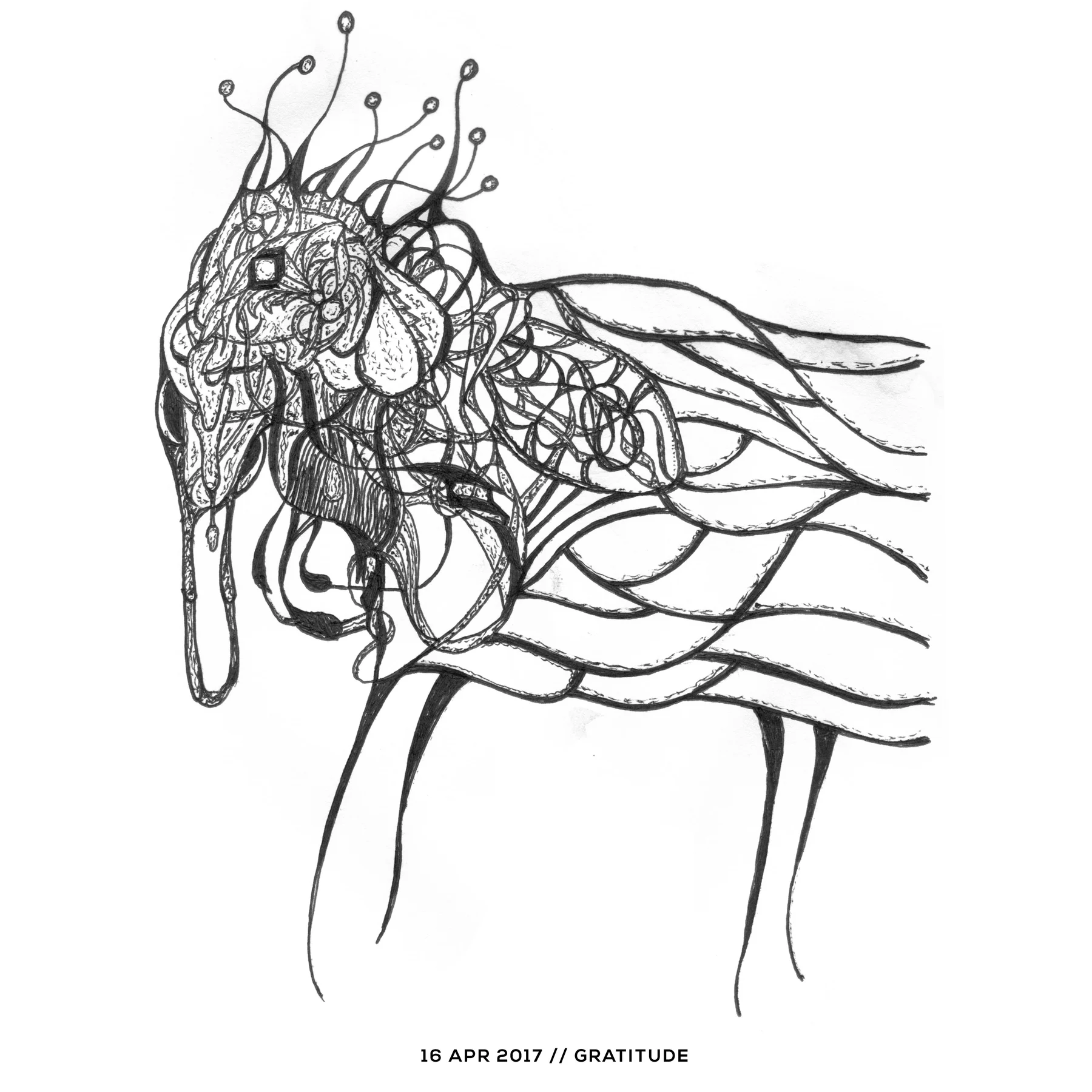 Ink drawing — gratitude, 16 April 2017