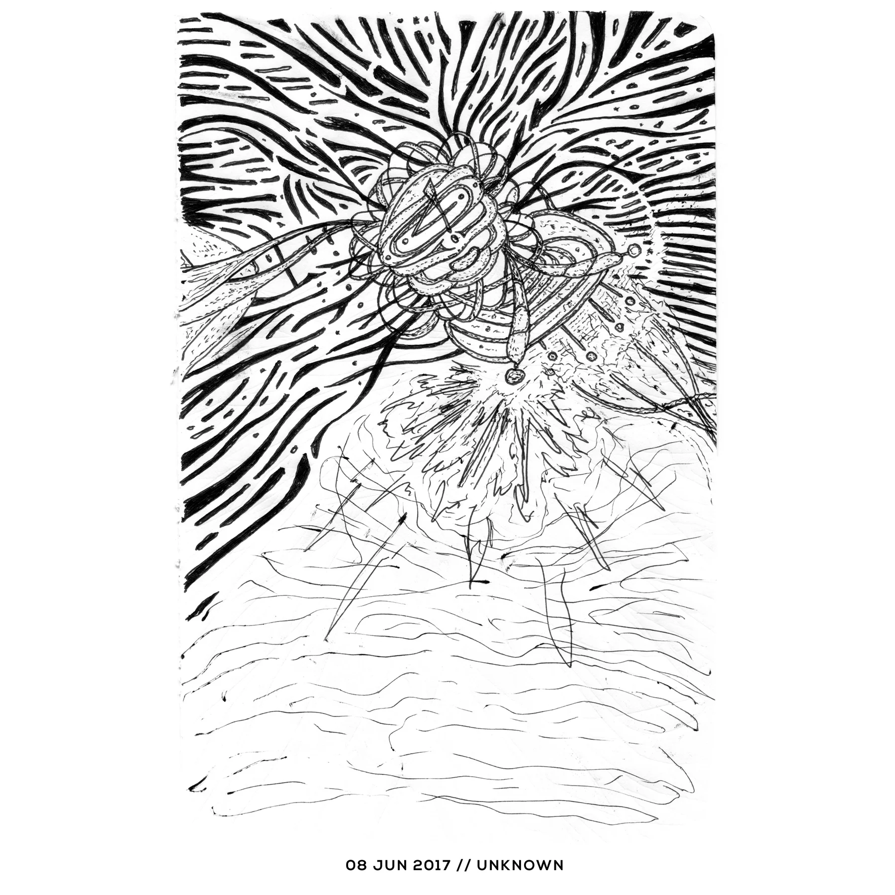 Ink drawing — untitled, 8 June 2017