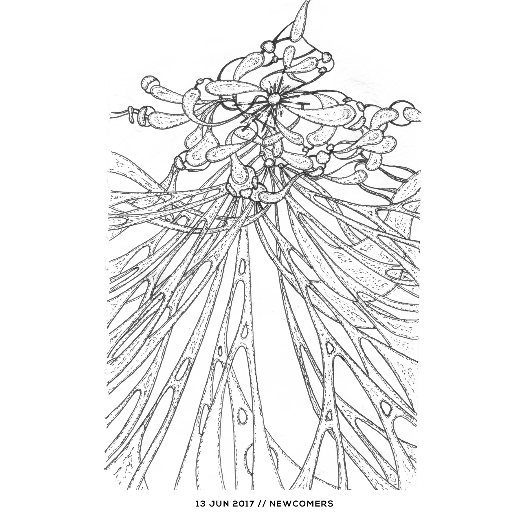 Ink drawing — newcomers, 13 June 2017